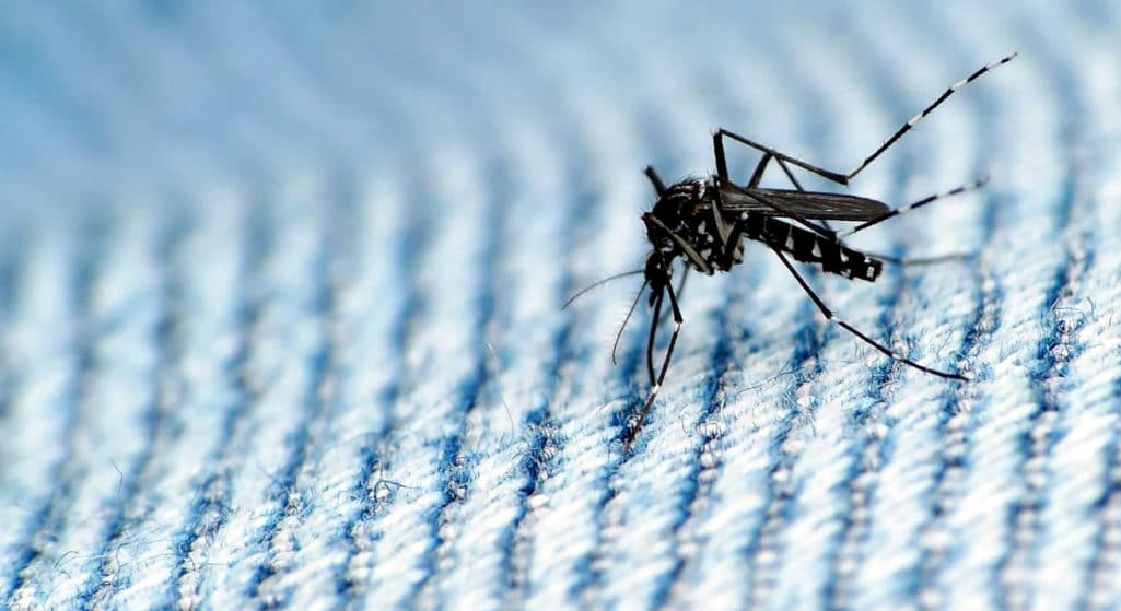 Οδηγίες για μέτρα πρόληψης και προστασίας από τα κουνούπια εξέδωσε η Περιφέρεια Θεσσαλίας, σύμφωνα με τις κατευθύνσεις του Εθνικού Οργανισμού Δημόσιας Υγείας.
