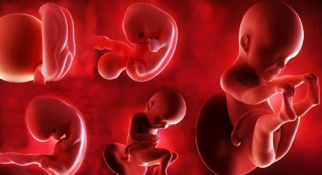Τα παιδιά που γεννιούνται από κατεψυγμένα ωάρια με εξωσωματική έχουν υπερδιπλάσια πιθανότητα (αύξηση 154%) να αναπτύξουν αργότερα καρκίνο, αν και ο κίνδυνος παραμένει μικρός