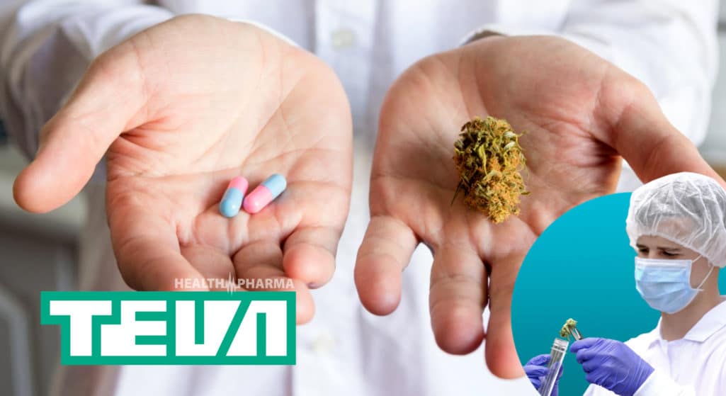 Σε συμφωνία με την εταιρεία ιατρικής κάνναβης Canndoc προχωρά η Teva Pharmaceuticals μέσω της θυγατρικής επιχείρησης Salvon, Levin, Elstein (SLE), για τη διανομή -σε πρώτη φάση- των προϊόντων GMP σε νοσοκομεία και φαρμακεία του Ισραήλ.