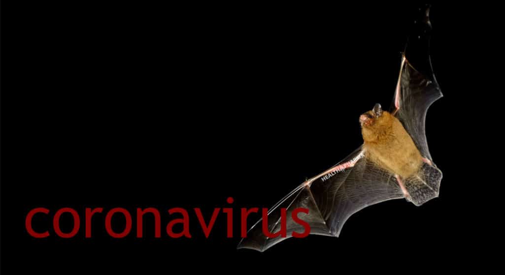 Τα έως σήμερα διαθέσιμα δεδομένα υποδεικνύουν ότι η πιο πιθανή πηγή προέλευσης για τον νέο κοροναϊό, είναι οι νυχτερίδες και, επίσης, ότι δεν υπάρχει καμία ένδειξη ότι ο ιός προήλθε από ερπετά.