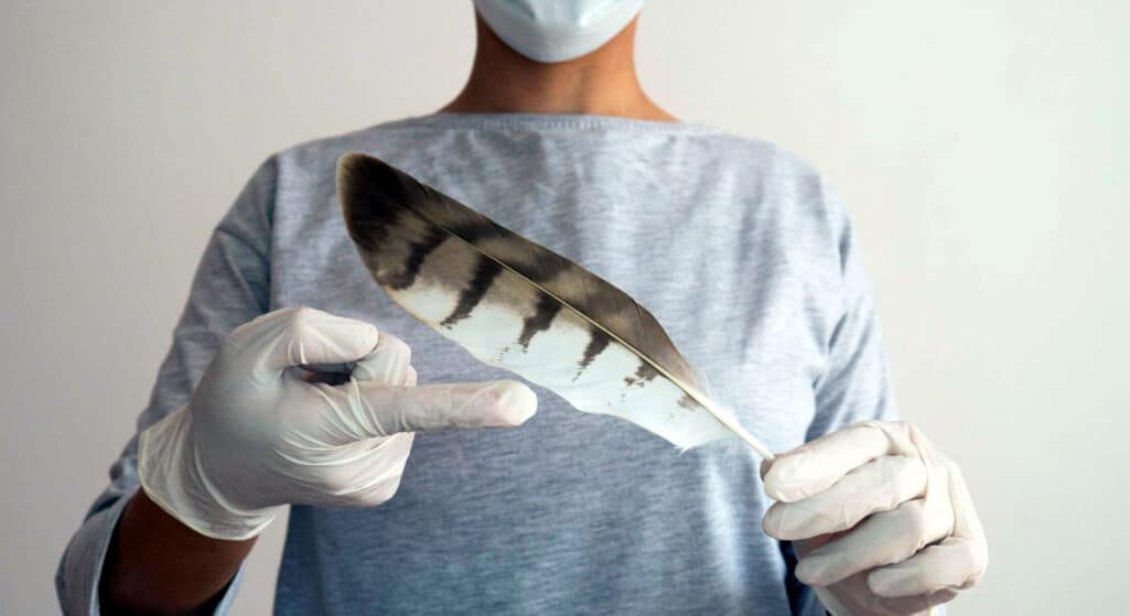 Ένας άνδρας 41 ετών στην ανατολική επαρχία Τζιανγκσού της Κίνας επιβεβαιώθηκε ως το πρώτο κρούσμα μόλυνσης σε άνθρωπο από το στέλεχος Η10Ν3 της γρίπης των πτηνών, όπως ανακοίνωσε την Τρίτη η Εθνική Επιτροπή Υγείας (NHC).